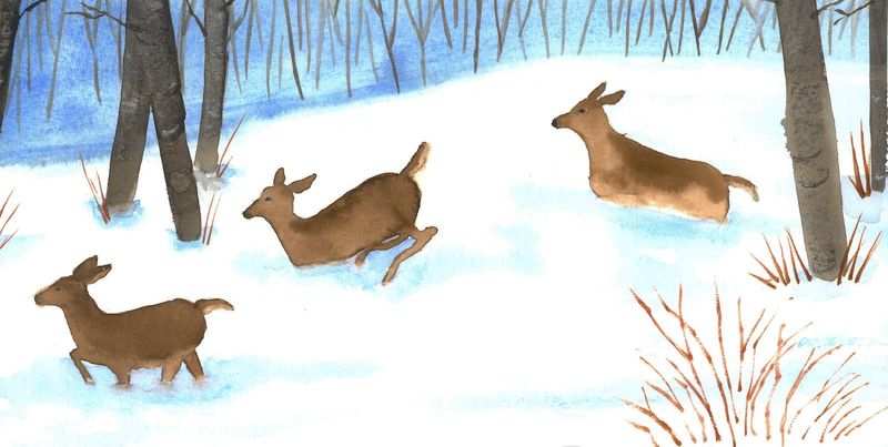 Deep Snow - 11 x 14 Print
