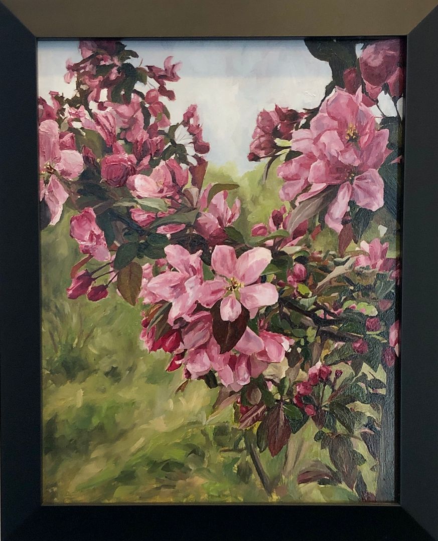 Blossoms in North Hibbing