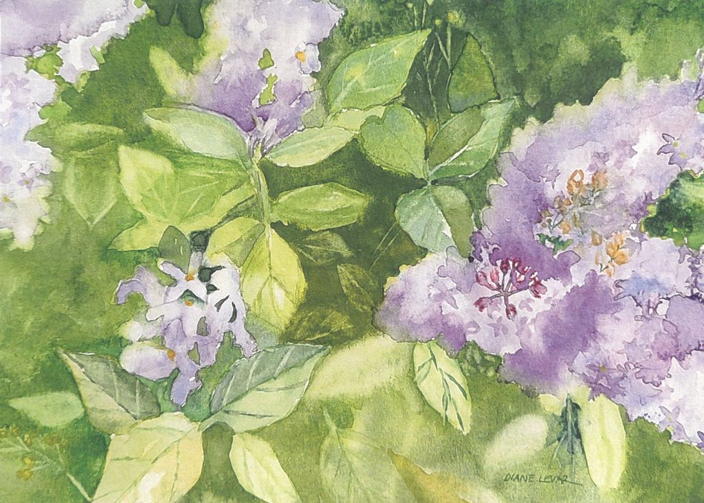 Lilacs - 9" x 12' Print