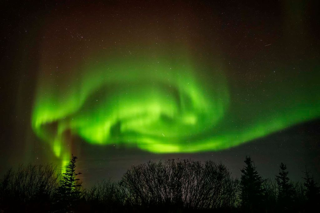 Aurora Ribbons