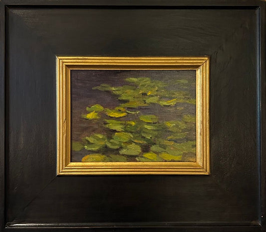 Lily Pad Study