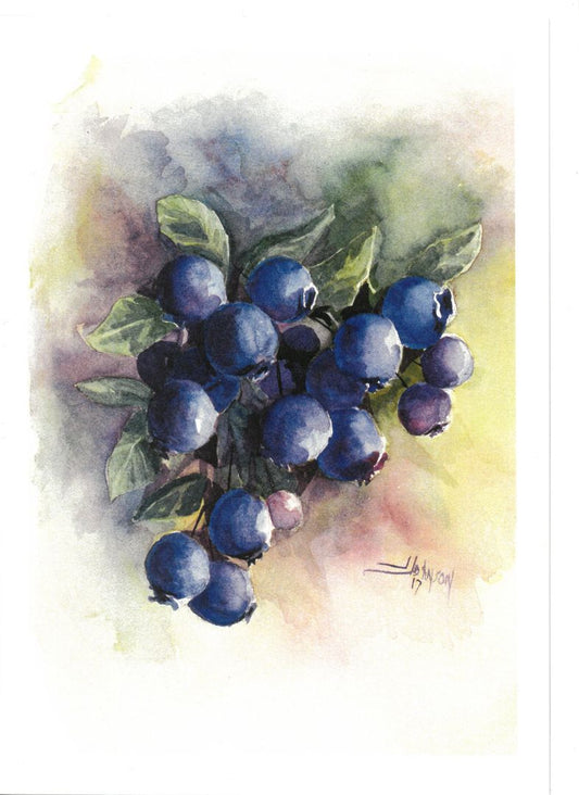 Blueberries Boxed Card Set