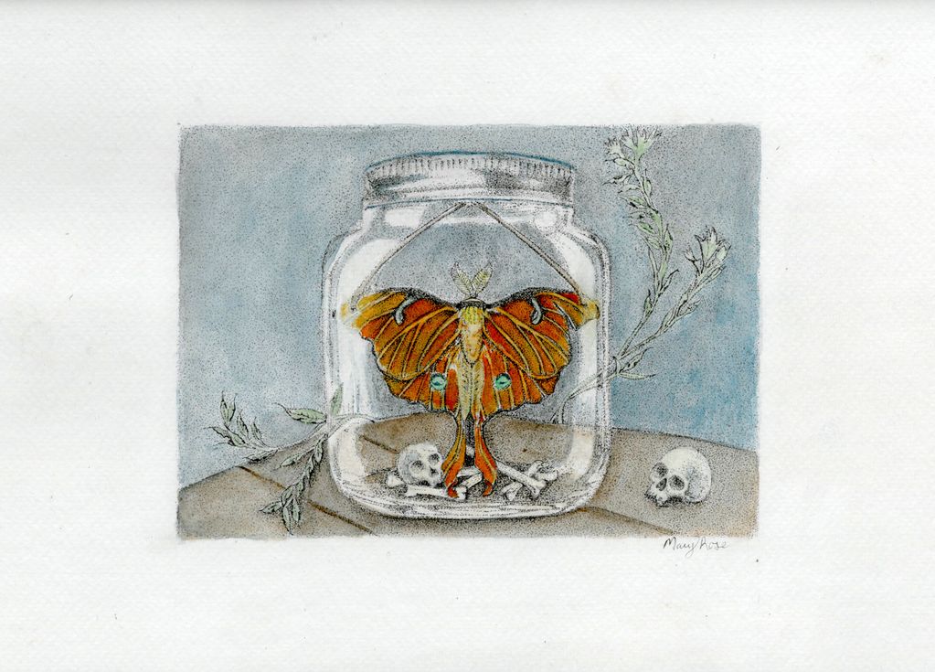 Reliquary Terrarium