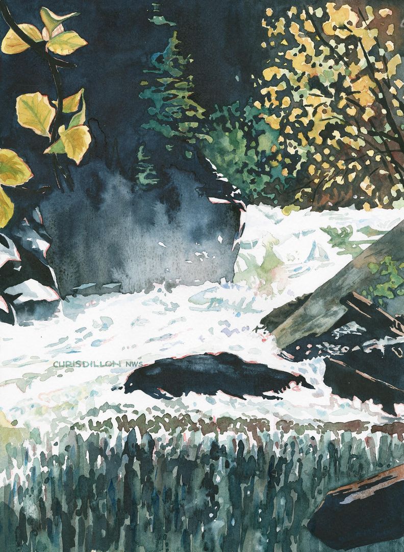 Kootenai Falls