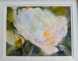 Peony