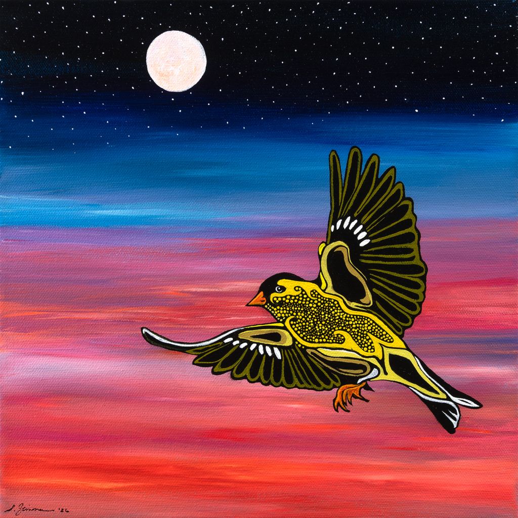 Goldfinch Visitor