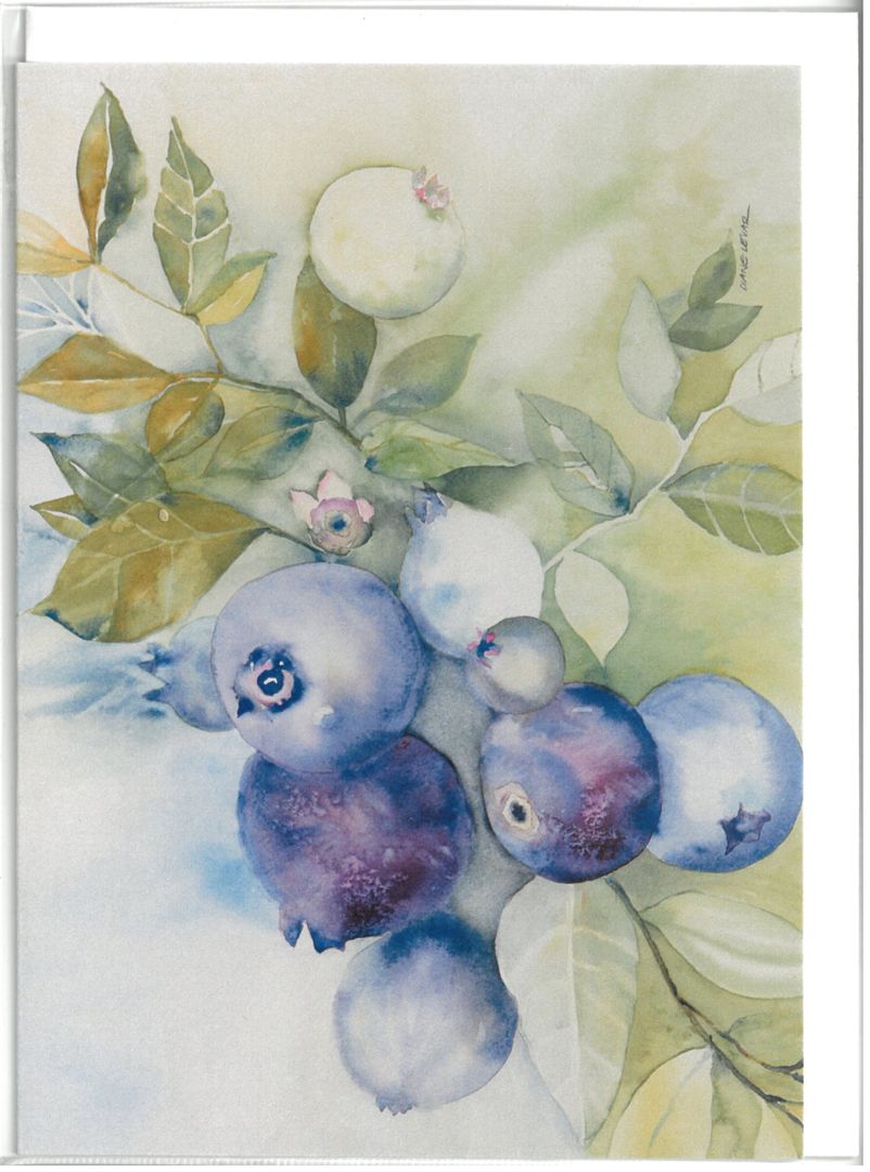 Blueberries (wc)