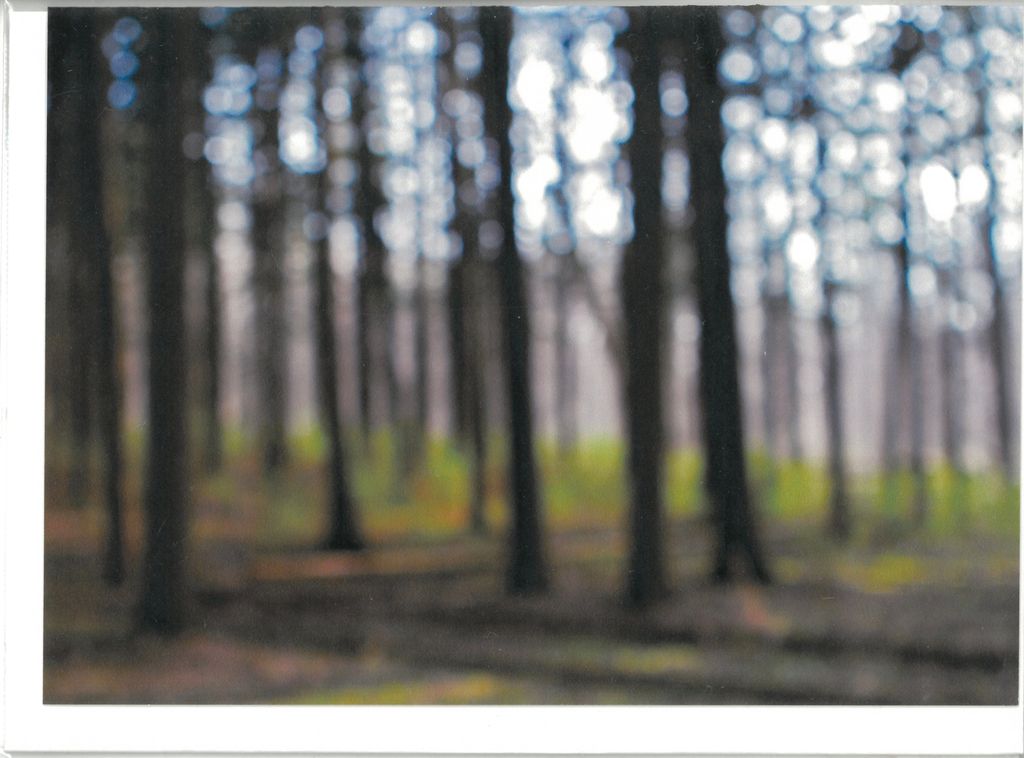 Pines