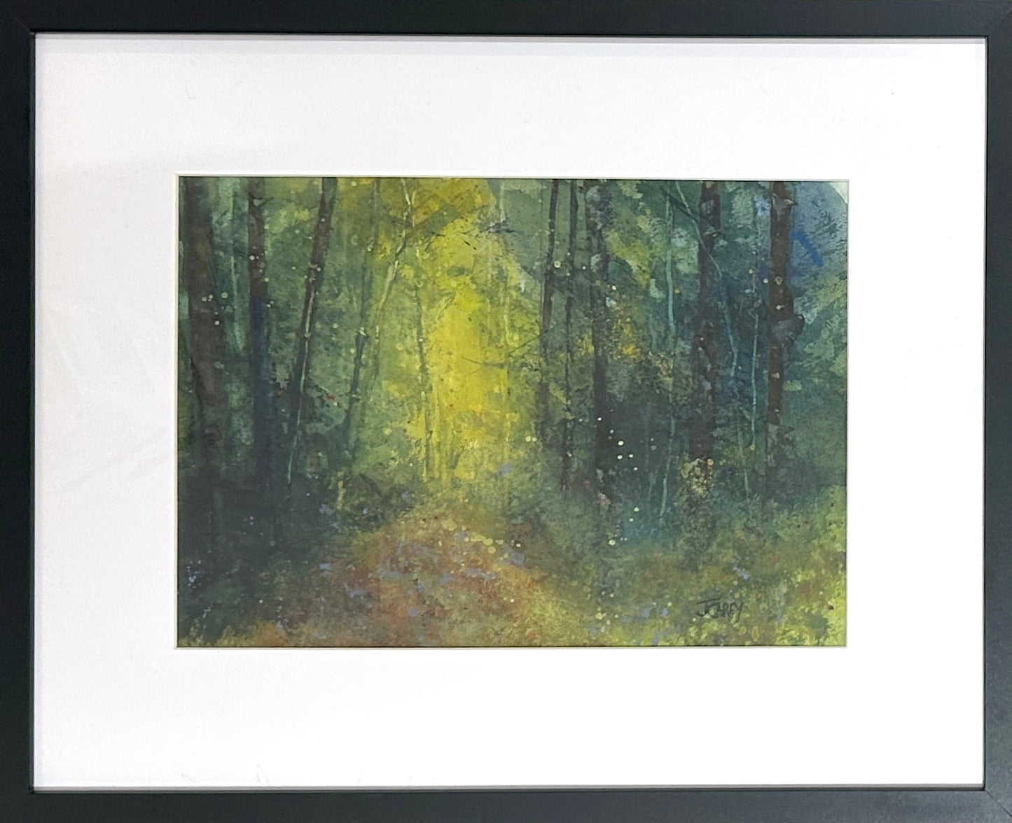 Deep Forest Sunlight