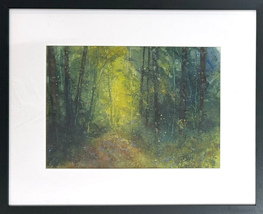 Deep Forest Sunlight