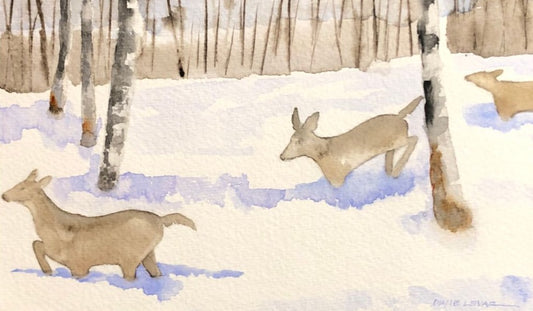 Deep Snow Study - Cradled Panel