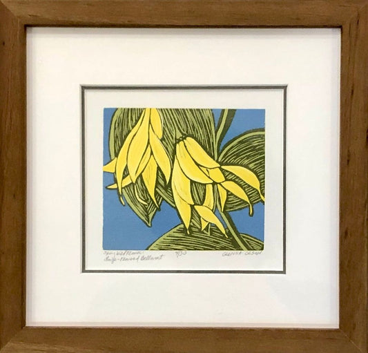 Spring Wild Flower: Large Flowered Bellwort - Framed