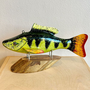 11" Perch "Hector"