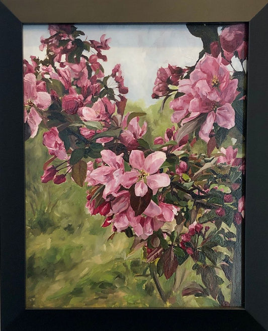 Blossoms in North Hibbing
