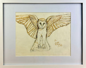 Barn Owl