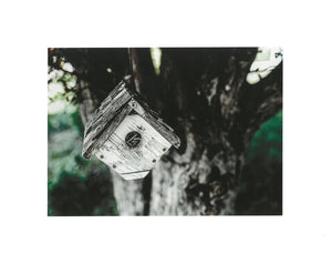 JS Rustic Birdhouse- Print