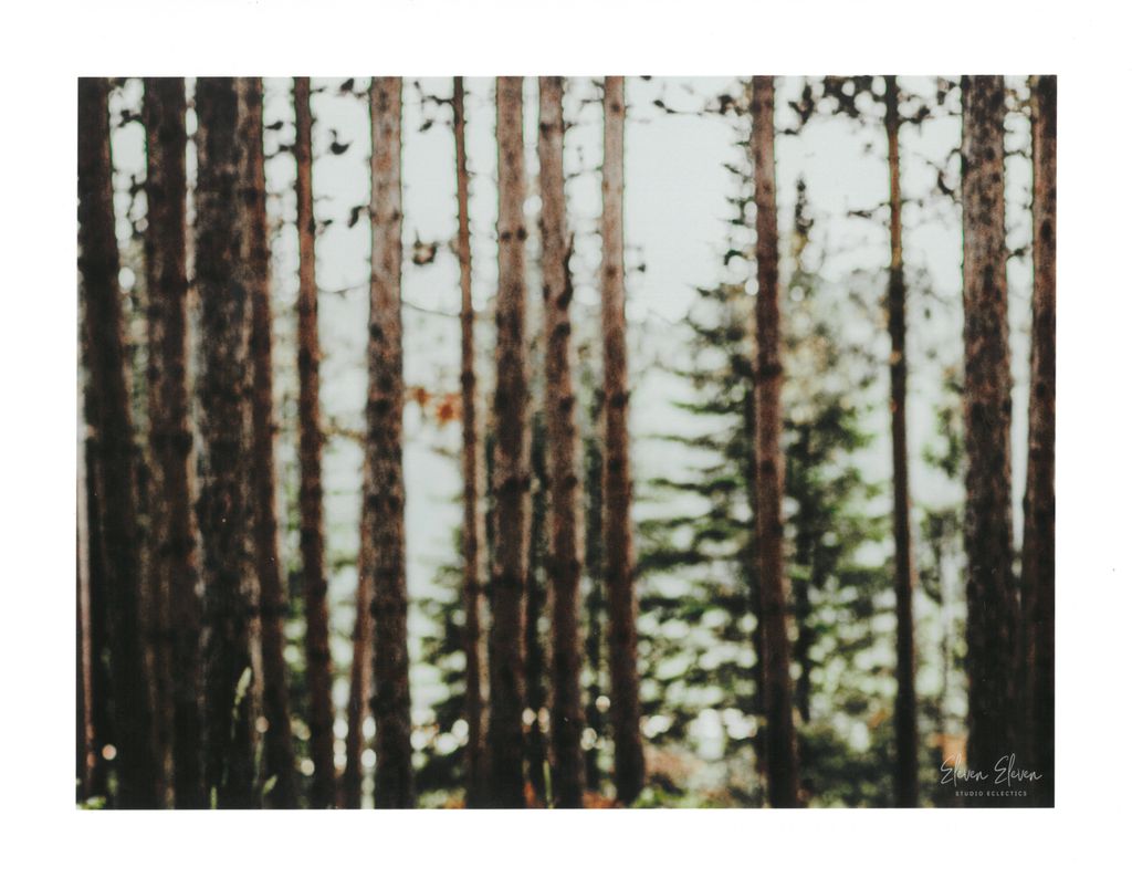 JS LG Print- Forest 2