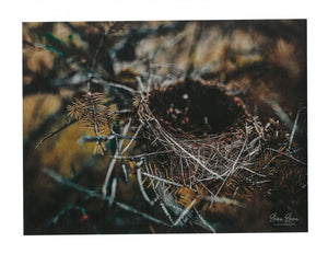 JS LG Print- Nest