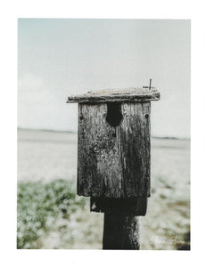 JS LG Print- Birdhouse