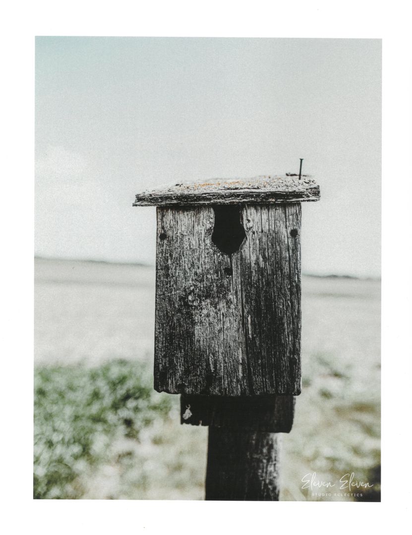 JS LG Print- Birdhouse