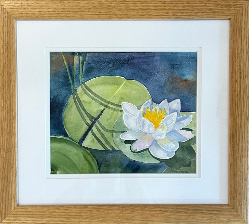 Blooming Waterlily Framed