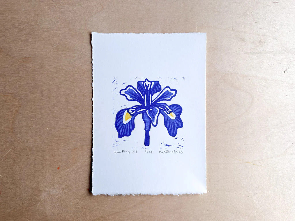 Blue Flag Iris