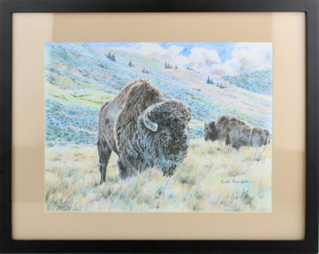 Yellowstone Bison