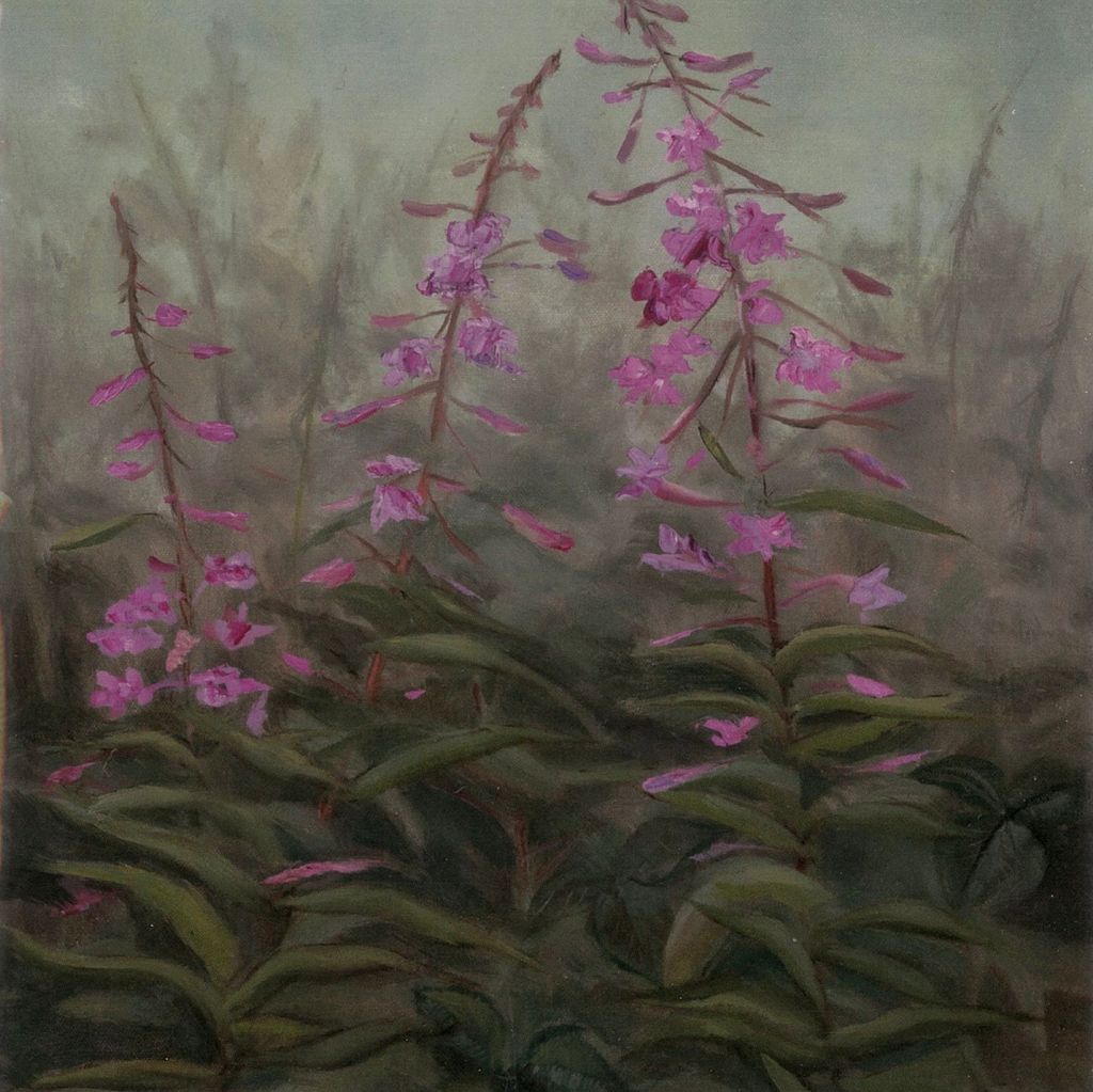 Early August Fireweed- Card