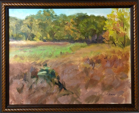 MN River Valley #3