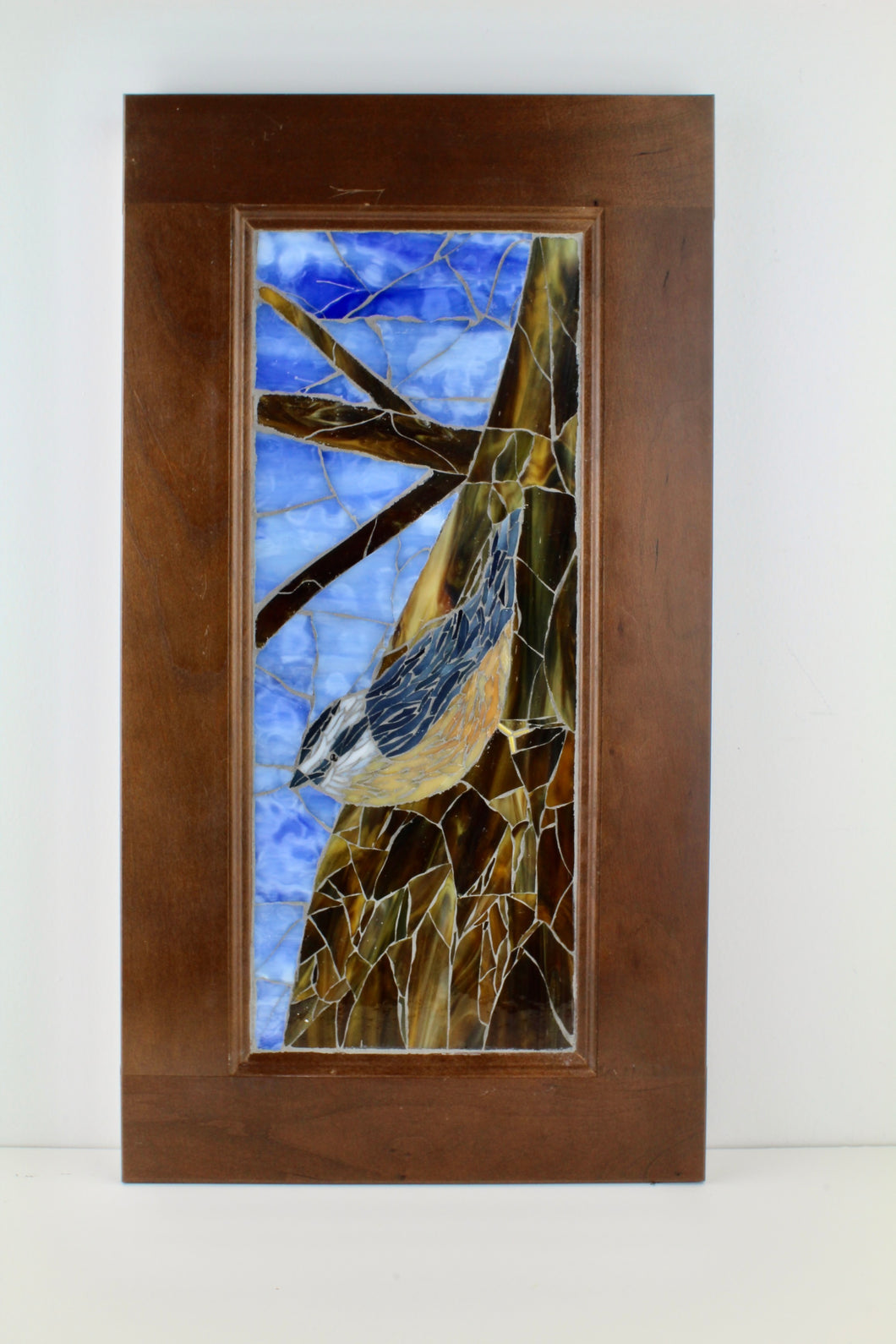 Red Breasted Nuthatch