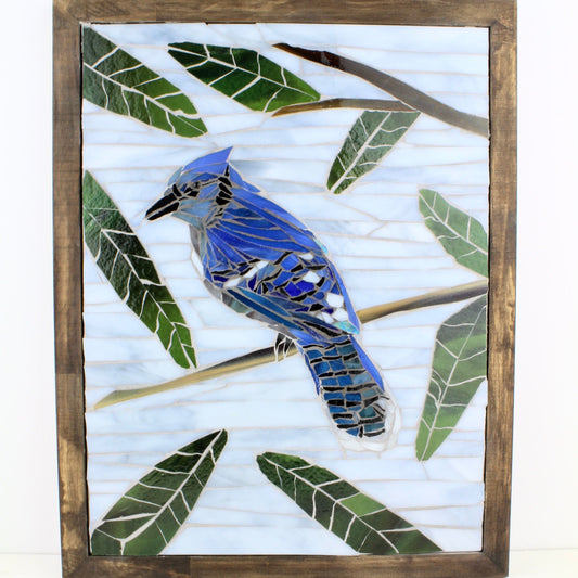 Blue Jay