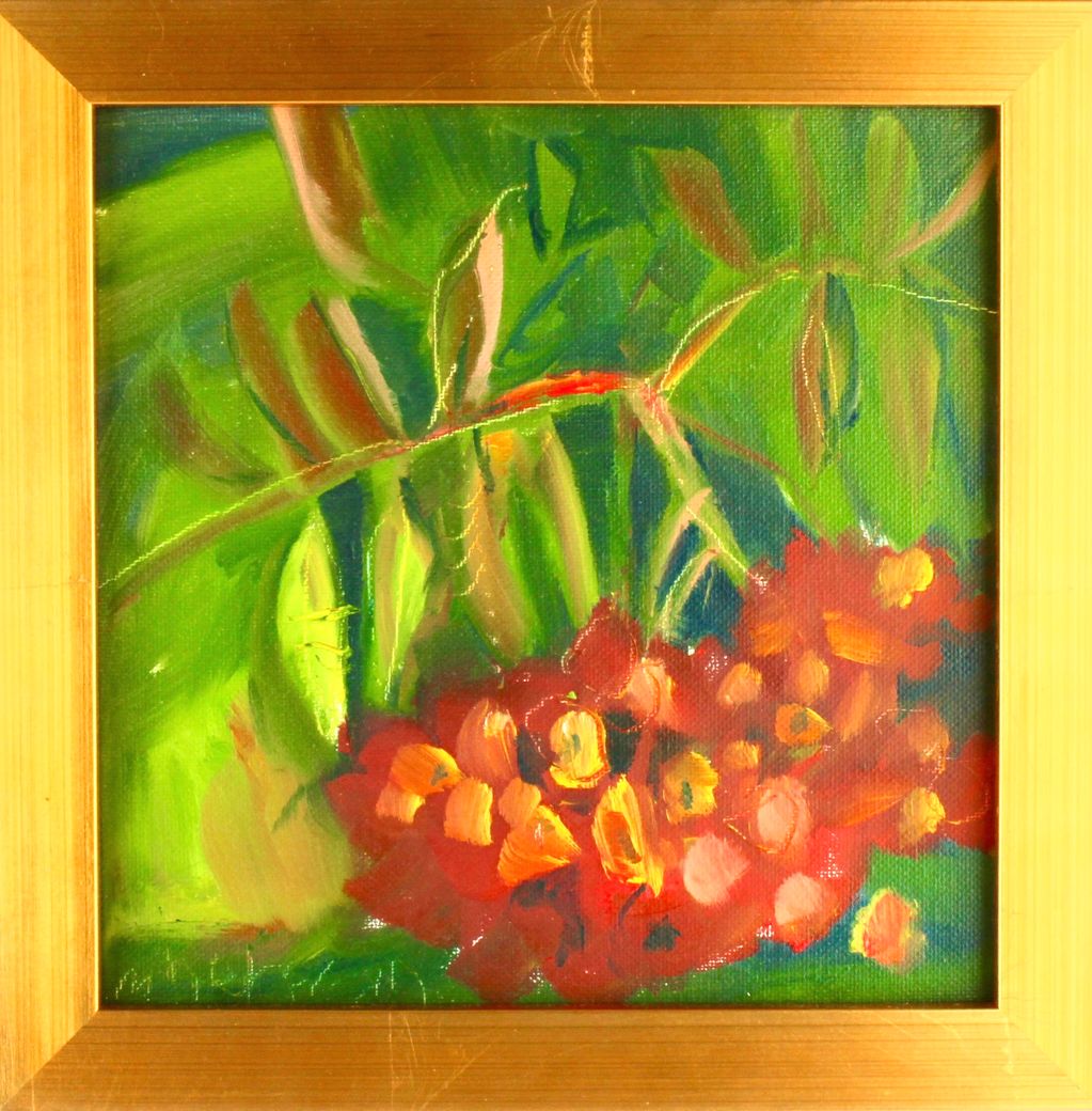 Grand Marais Bay Berries