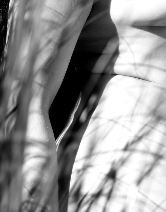 Tallgrass