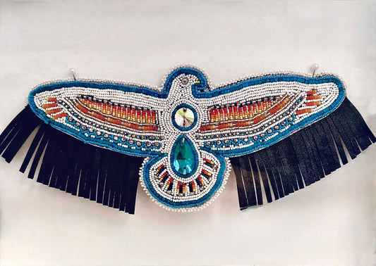 Turquoise and White Thunderbird