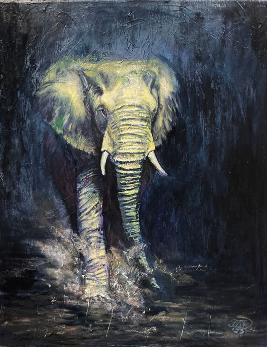 Elephant In Dust