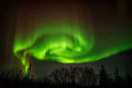Aurora Ribbons