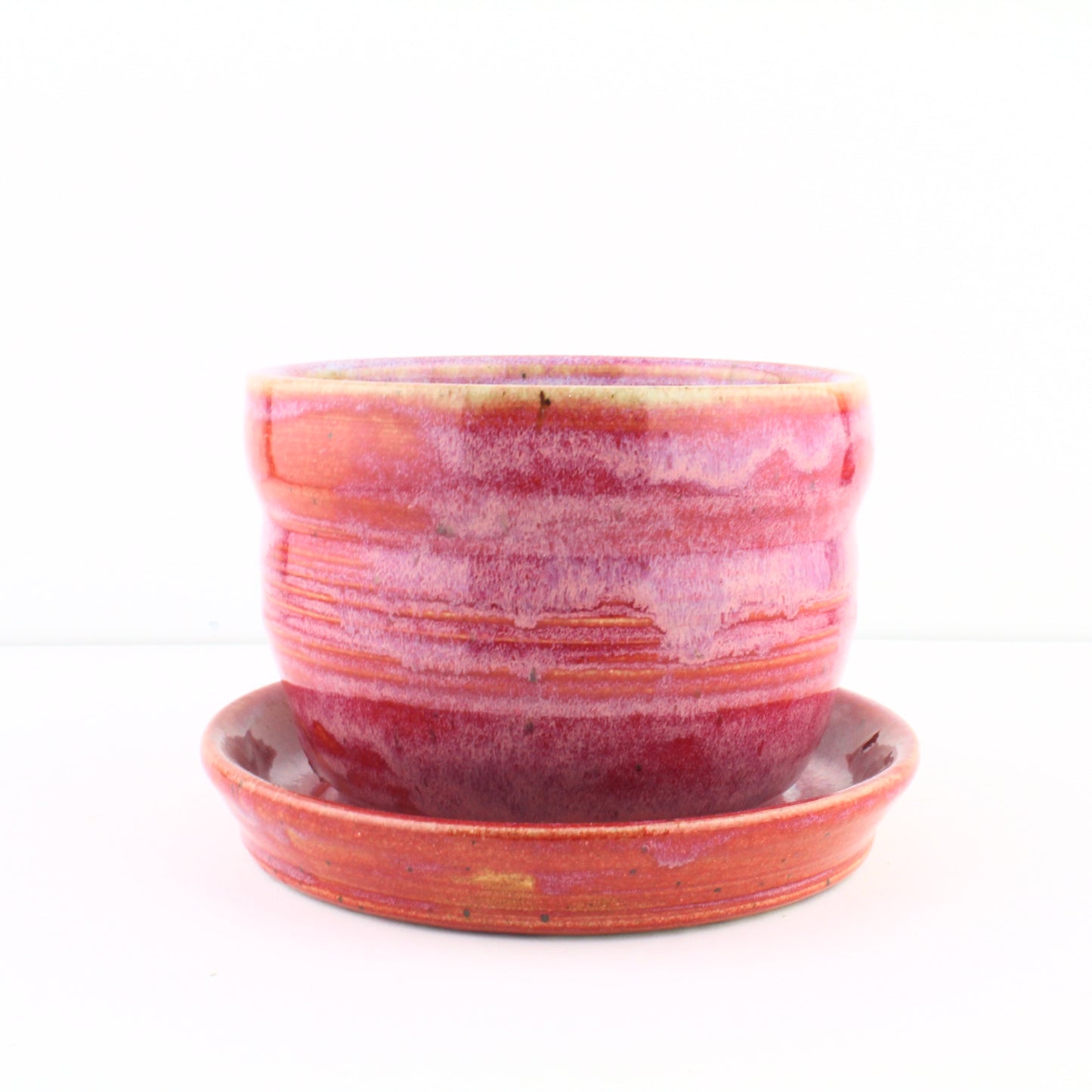 Red Planter-BB