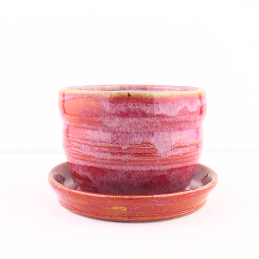 Red Planter-BB