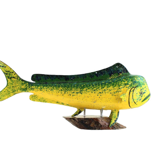 Mahi Mahi - 19"