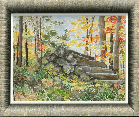 Forest History Center