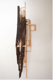 Lignum
