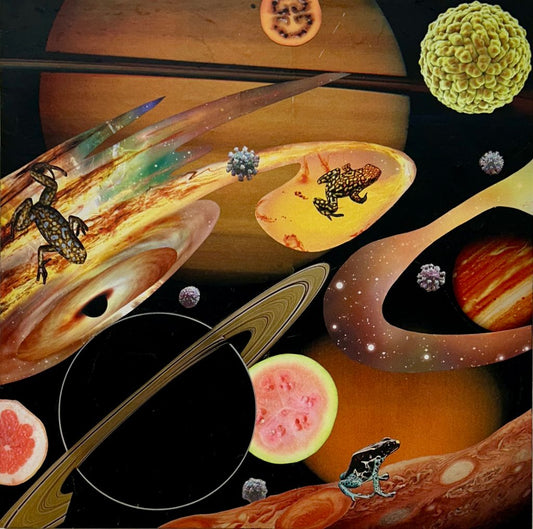 Frogs 'n Fruit in Space