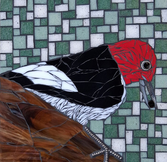 Red Headed Woodpecker