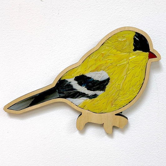 American Goldfinch