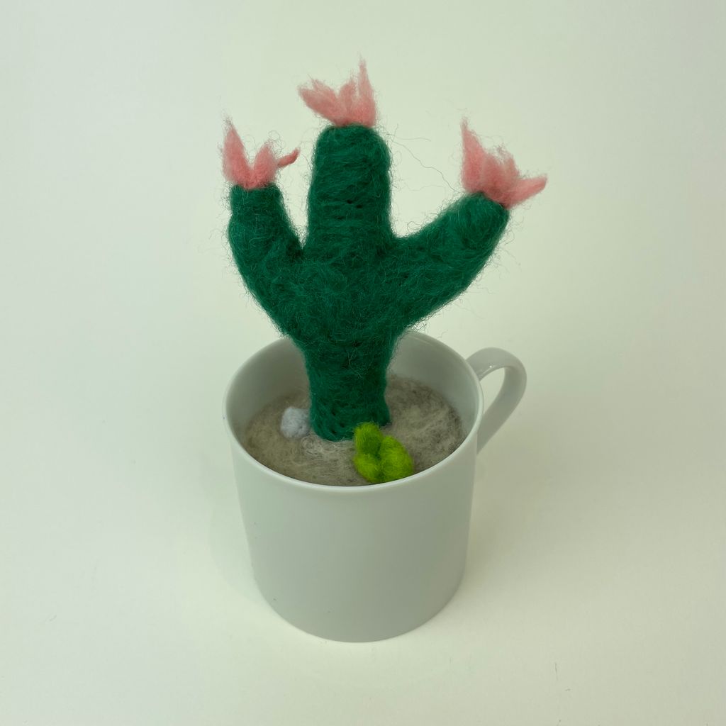 Cactus