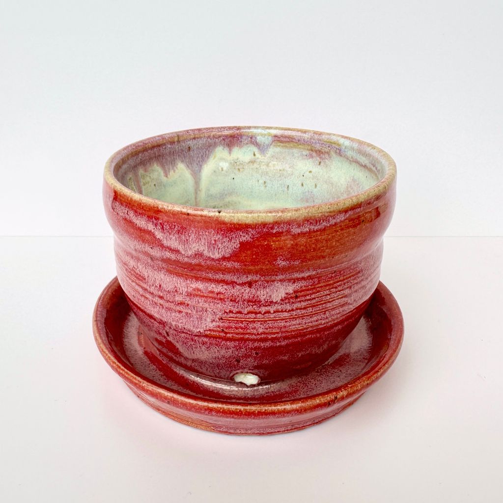 Red Planter-BB