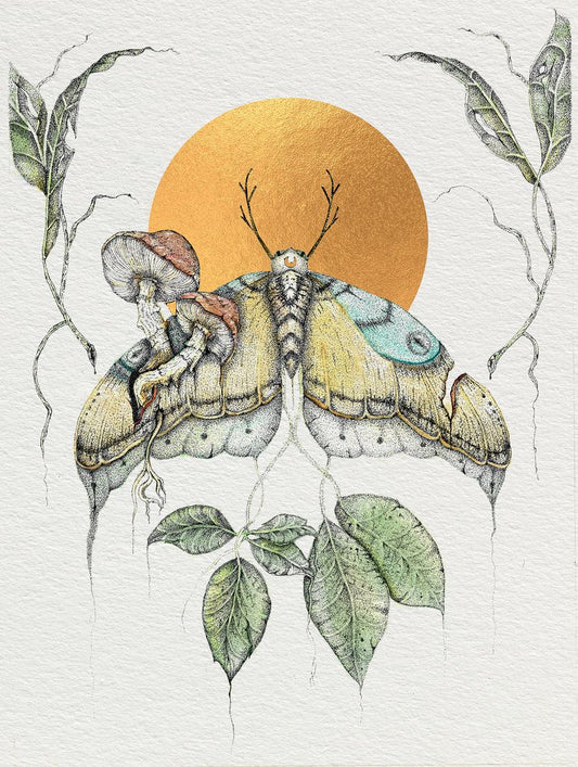 Cordyceps Canopy