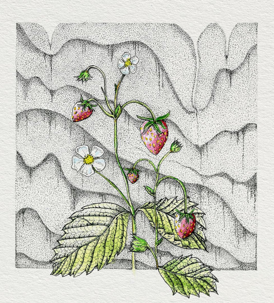 Strawberry Fields - card