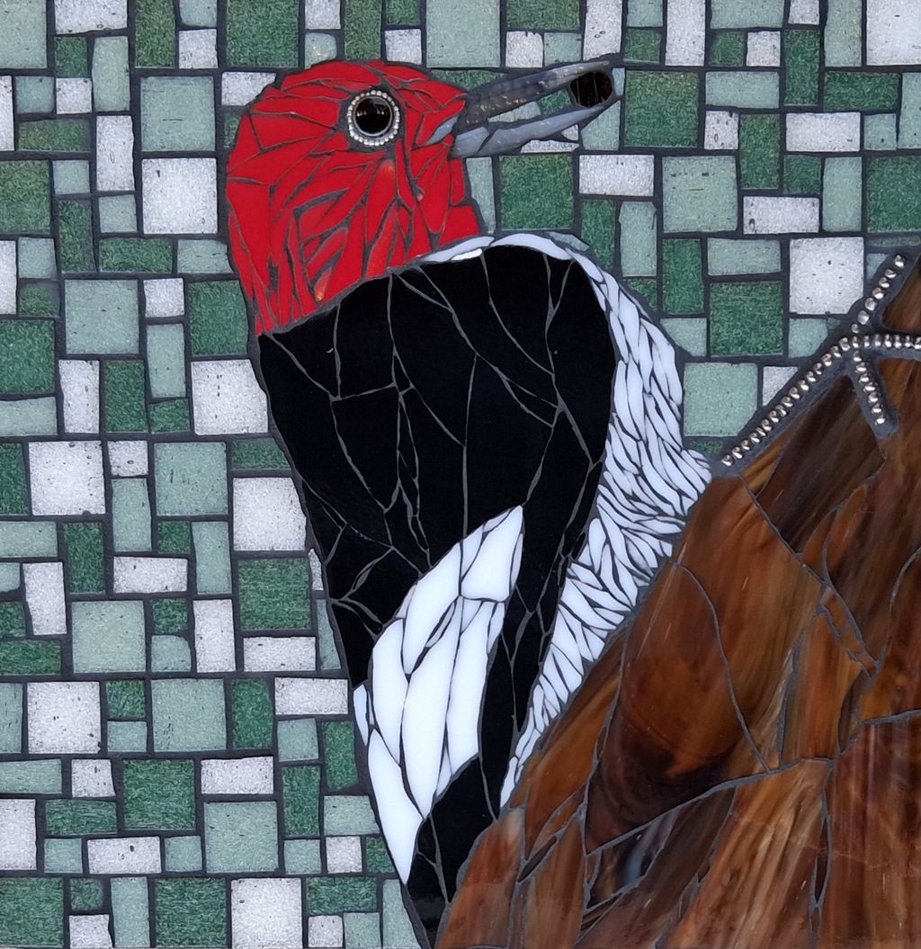 Red Headed Woodpecker
