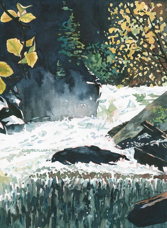Kootenai Falls